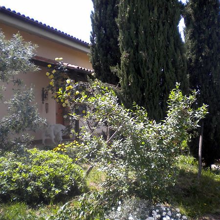 Le Tre Querce Acomodação com café da manhã Fiano Romano Exterior foto