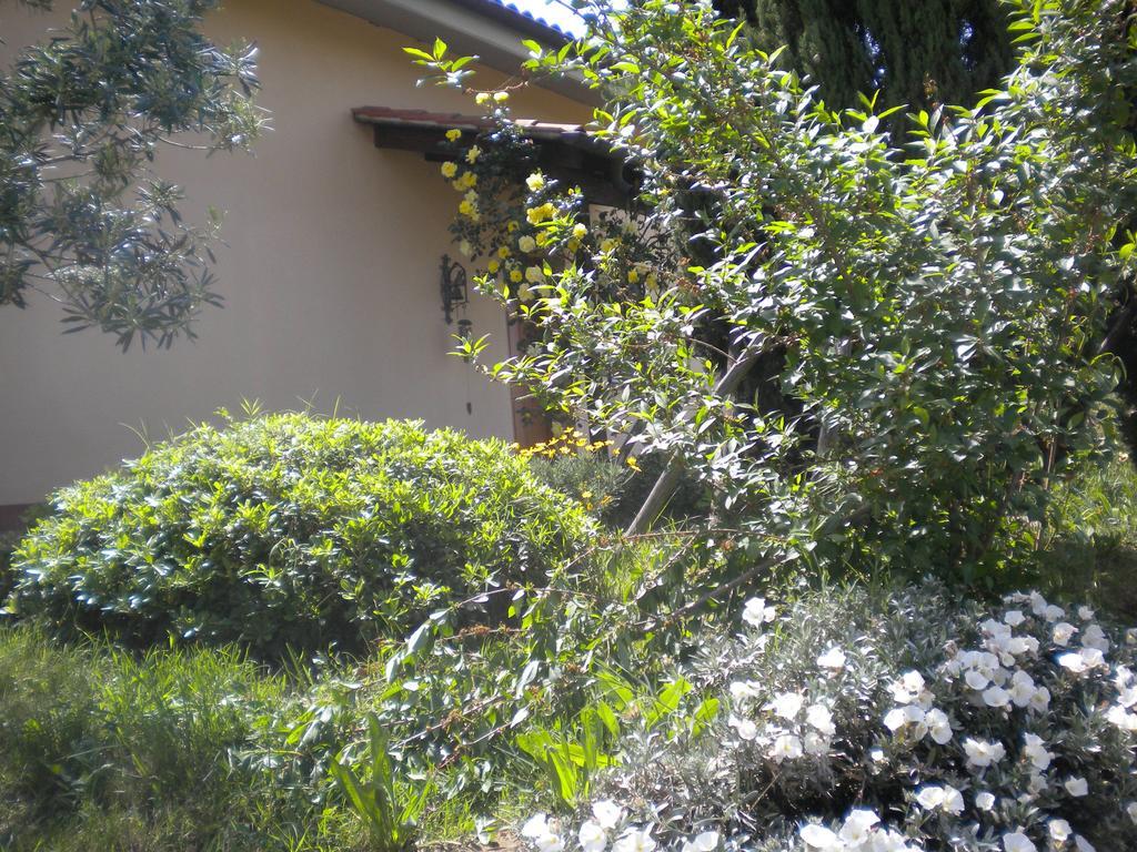 Le Tre Querce Acomodação com café da manhã Fiano Romano Exterior foto